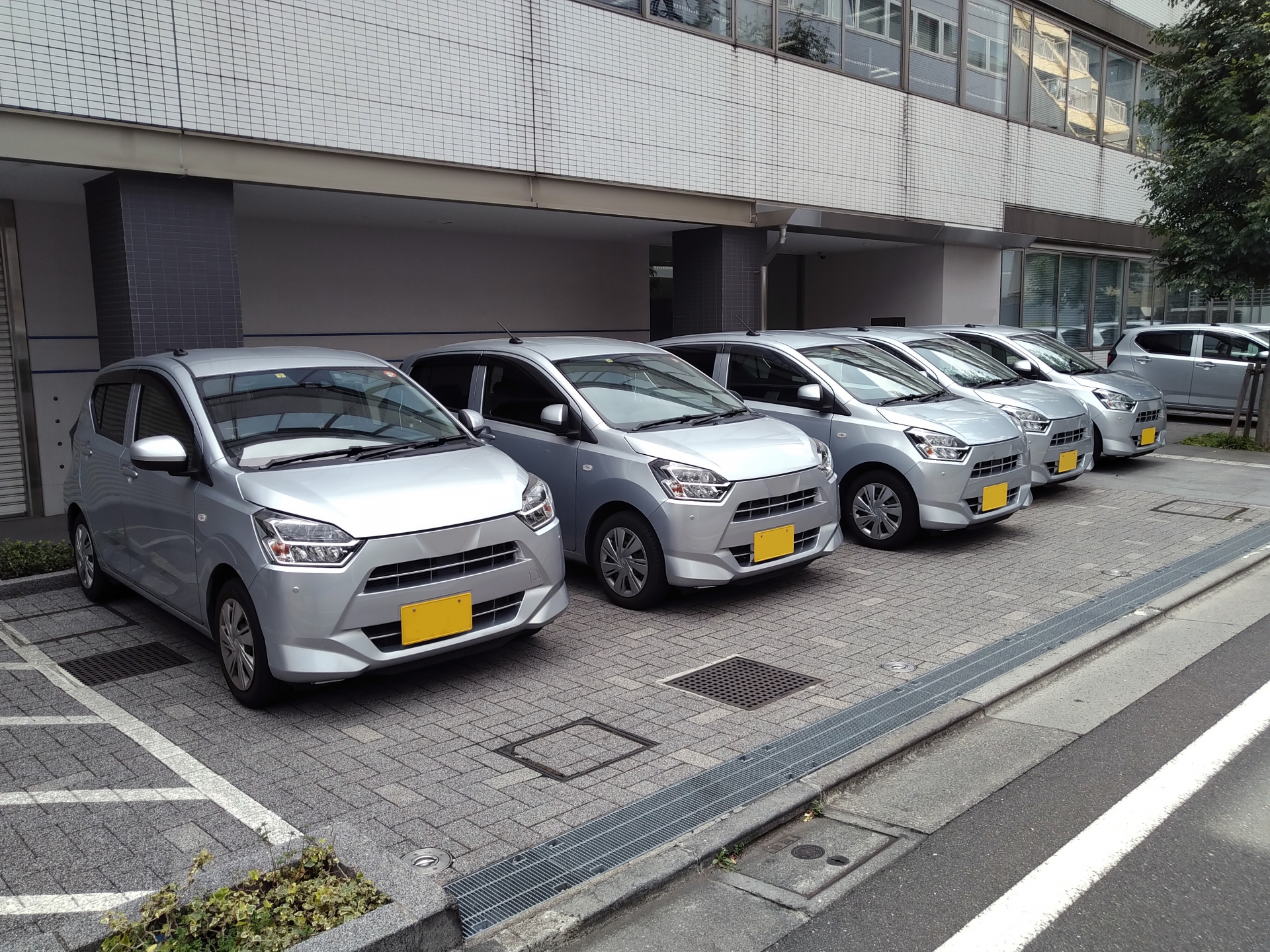 同じ車種の車が並んでいる